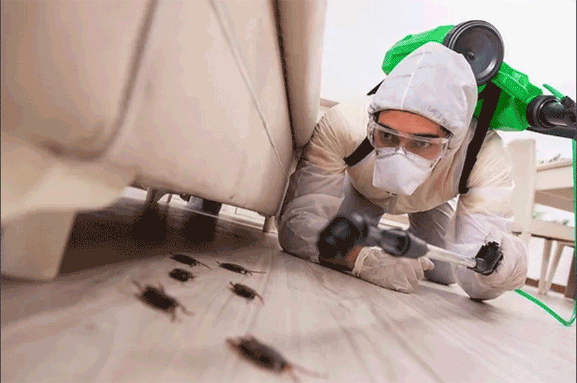 Pest Control