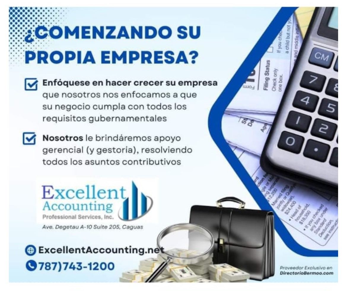 EXCELLENT ACCOUNTING PROFESSIONAL SERVICES