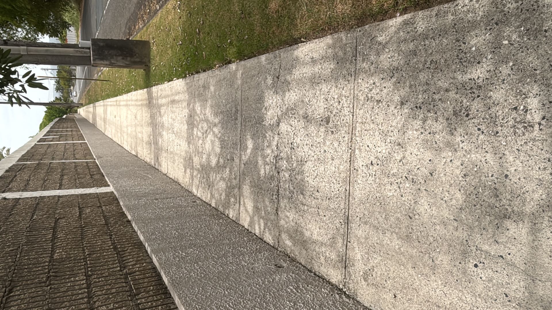 Figueroa Landscaping/Handyman