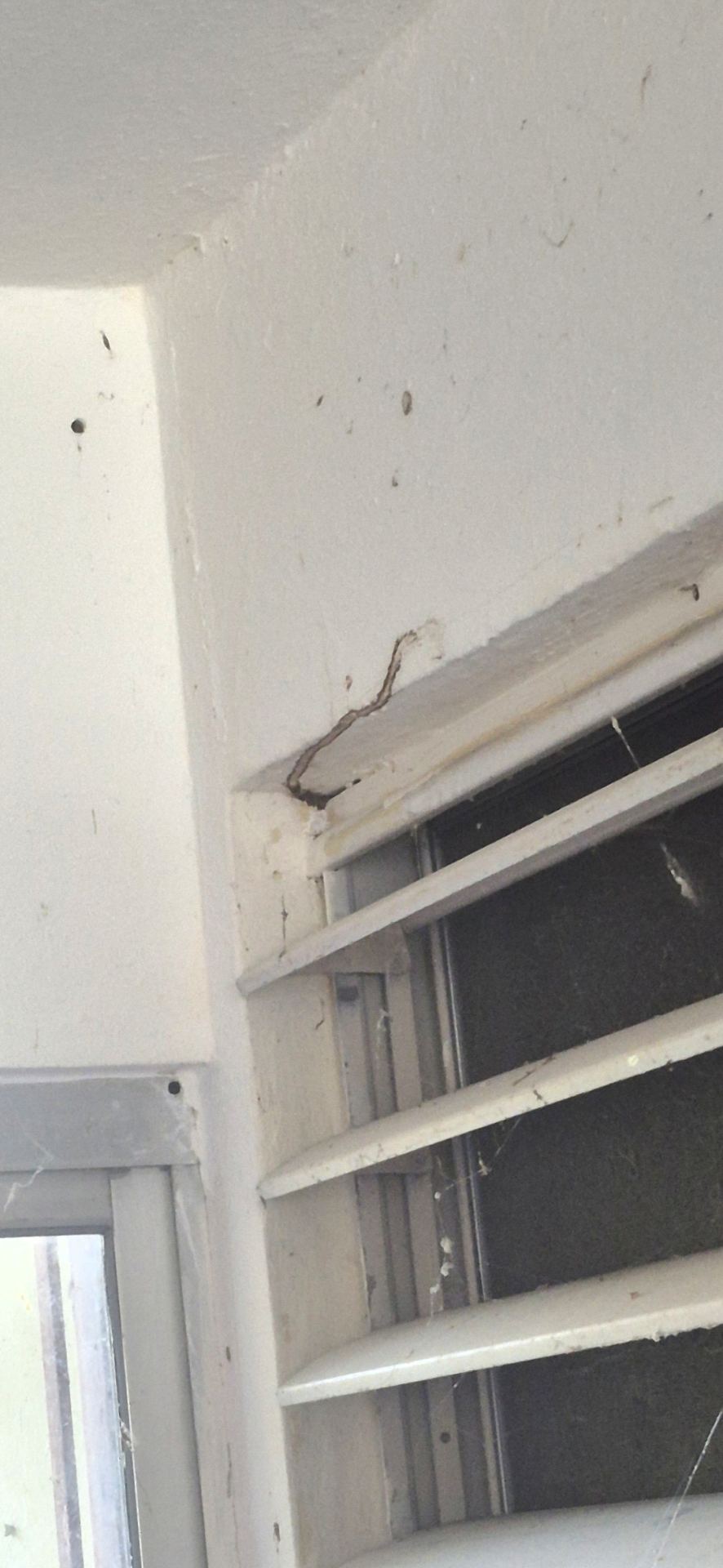 Hingienisa Pest Control
