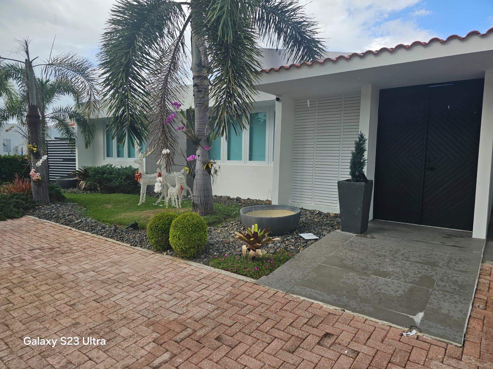 CARLOS J PAINTING AND MAINTENANCE INC