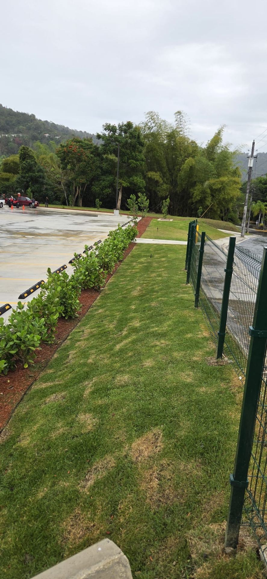 Daniel’s Landscaping