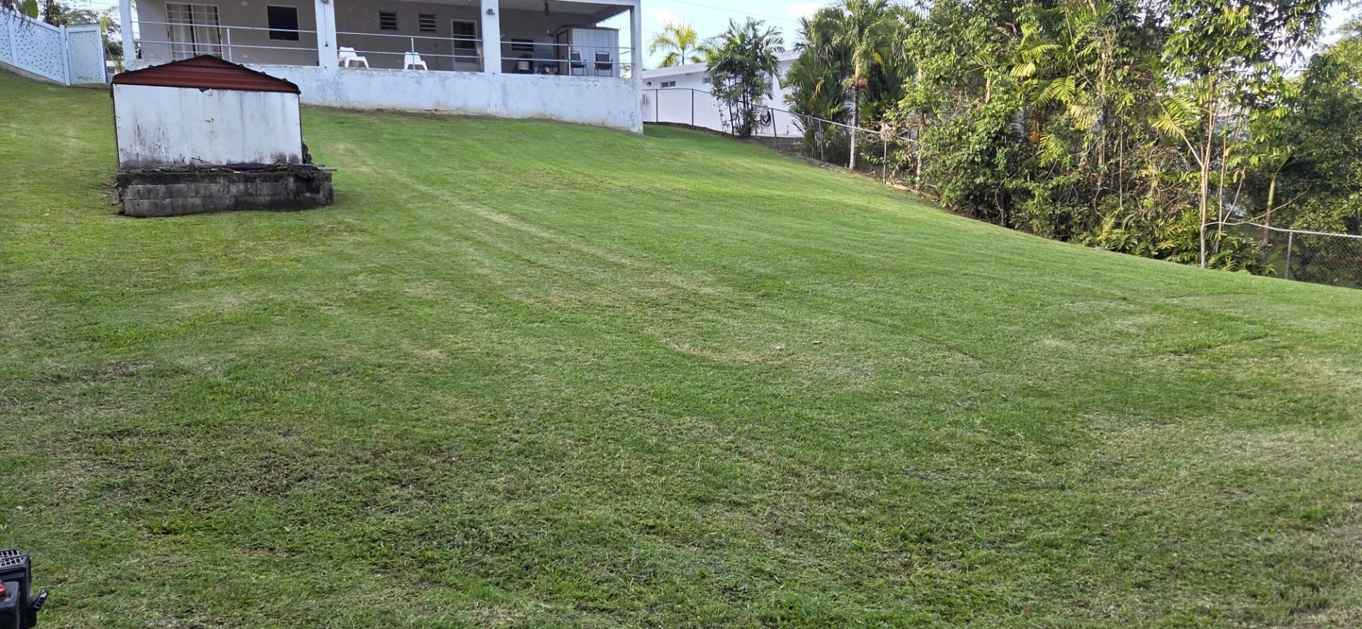 Daniel’s Landscaping