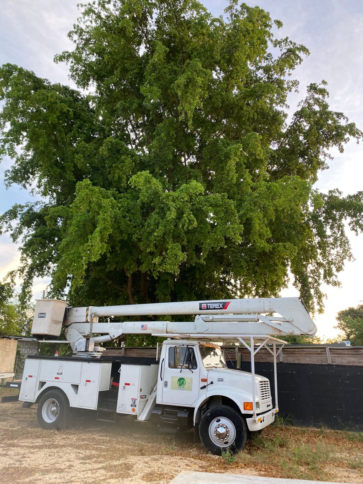 Pagan Tree Service