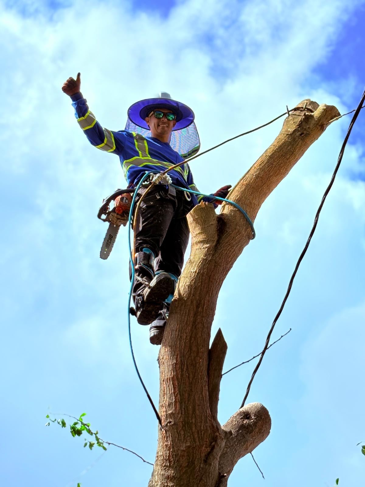 Pagan Tree Service