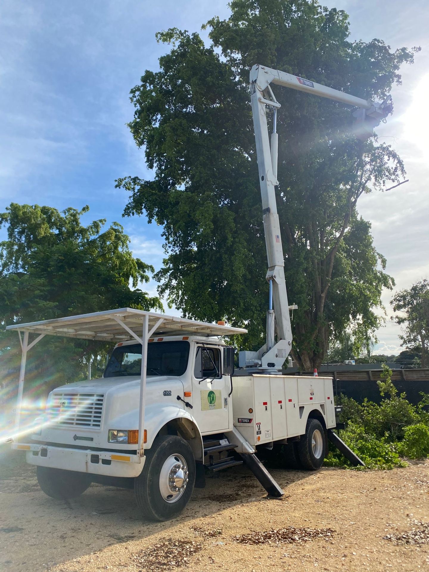 Pagan Tree Service