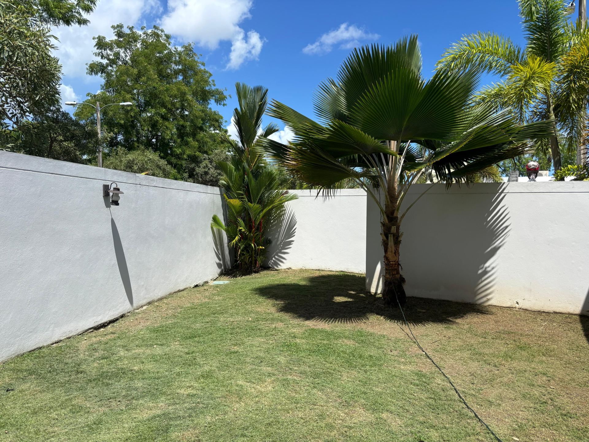 Figueroa Landscaping/Handyman