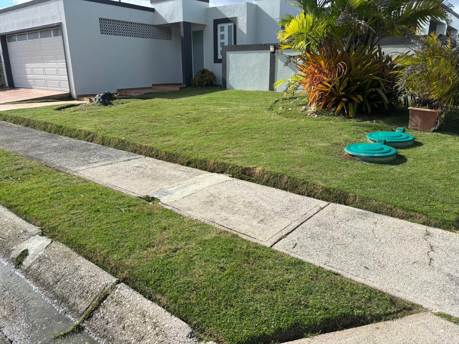 Figueroa Landscaping/Handyman