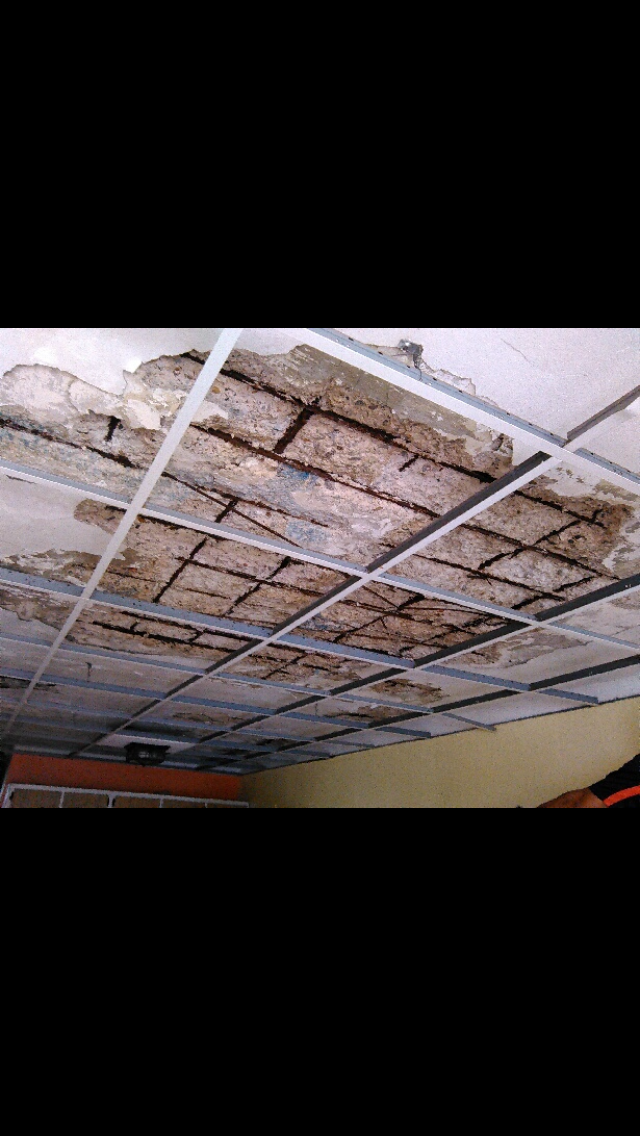 Cirujano de techos y plafones handyman Pagan